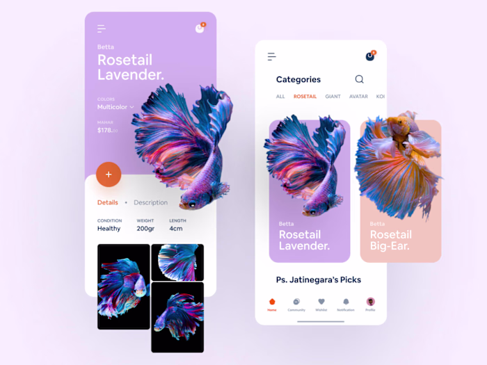 #Exploration - Betta Fish eCommerce