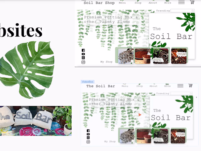 Website design