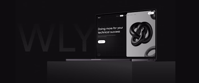WLY - Web Page Development