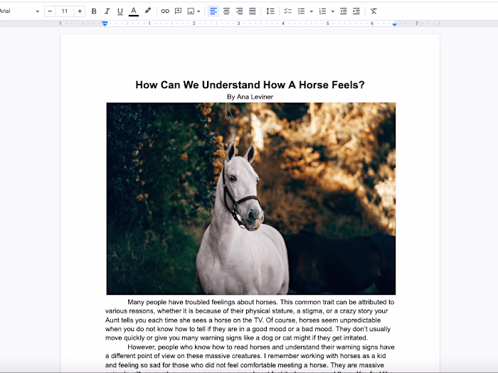 How can we understand how a horse feels