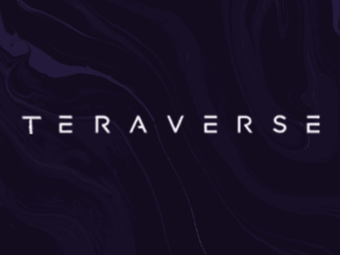 Teraverse Landing Page Design