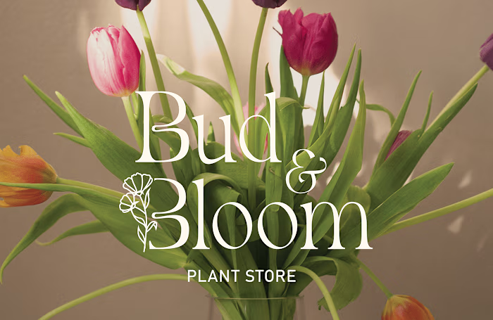 Bud & Bloom