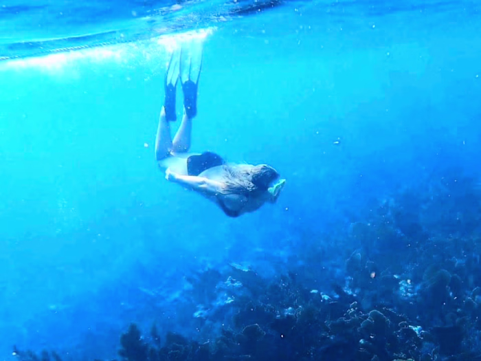 Diving off the Florida Keys • Adventure Content