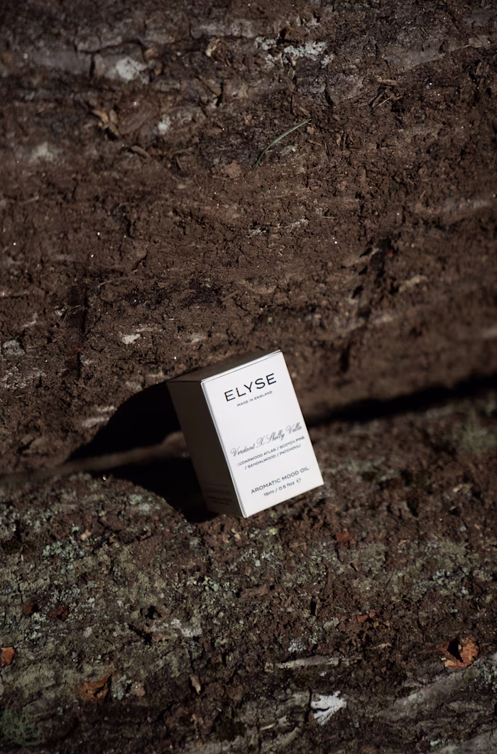 Elyse (Rebrand & Photography) 