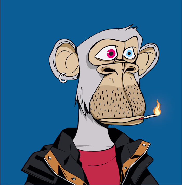 Bored Ape Matches