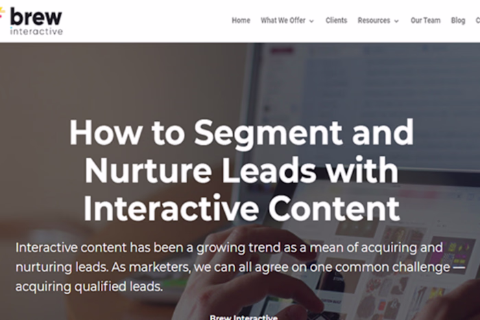 How to Segment and Nurture Leads with Interactive Content