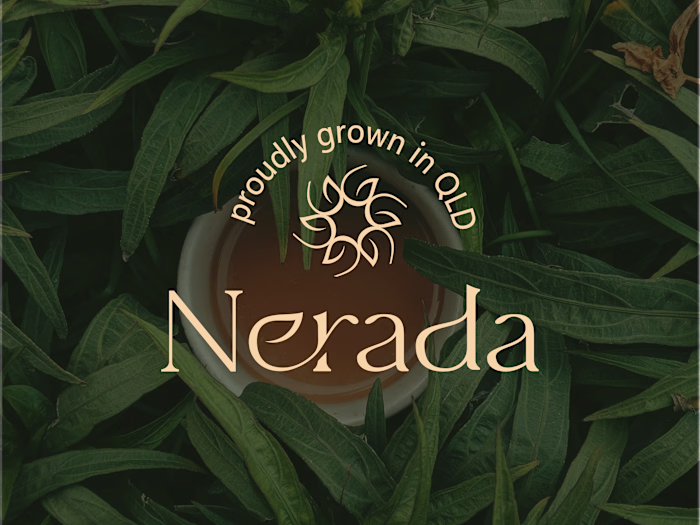 Created the complete brand identity