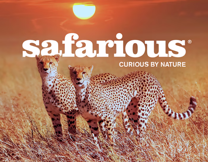 Safarious. Curious By Nature