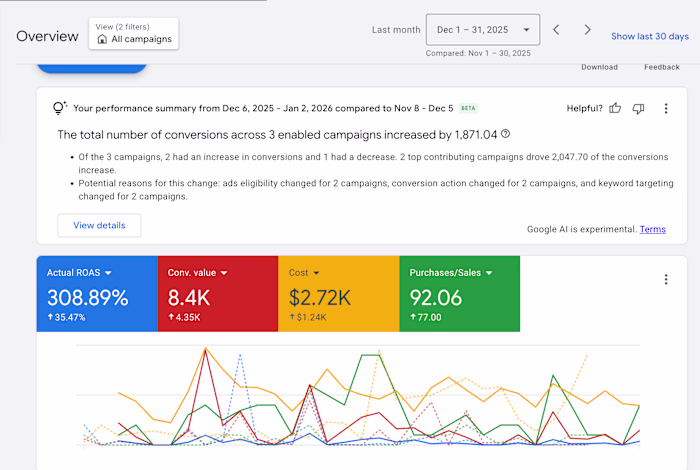 Google Ads Setup and Scaling