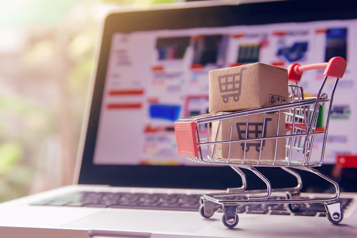 eCommerce SEO: 1-Year Google Penalty Recovery