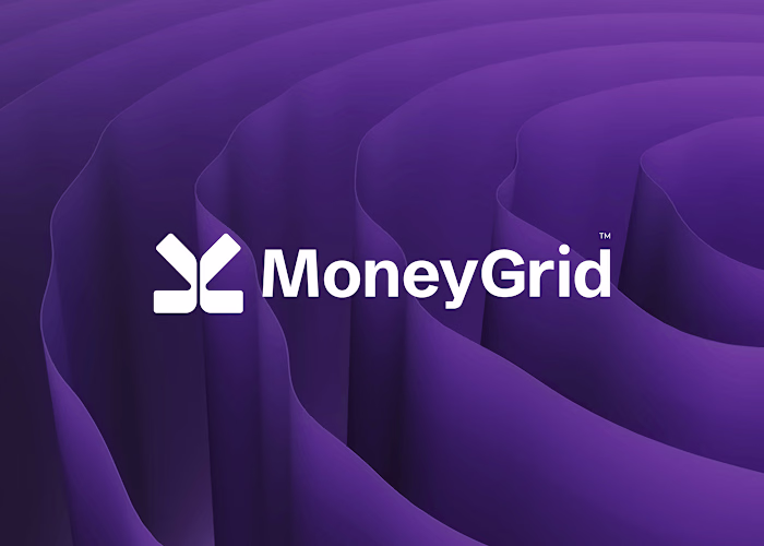 Money Grid - Branding Case Study