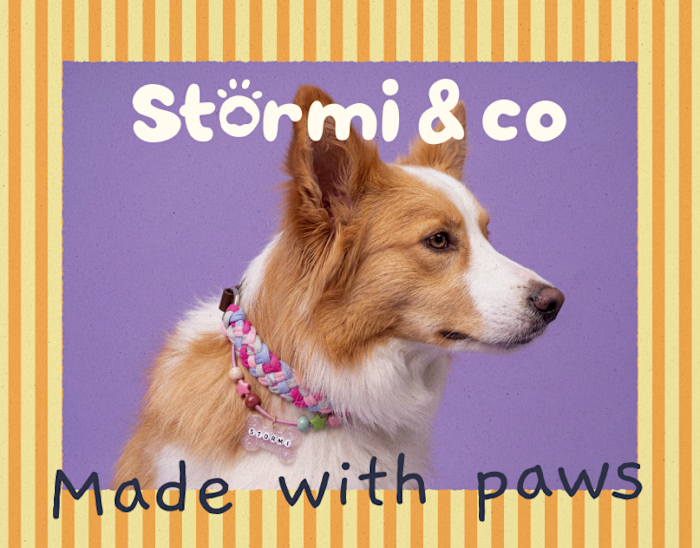 Stormi & co. Brand Identity & Packaging