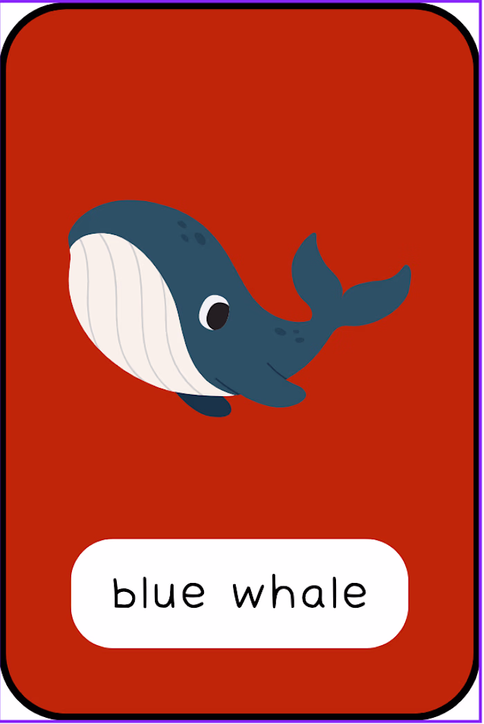 Matching Card
