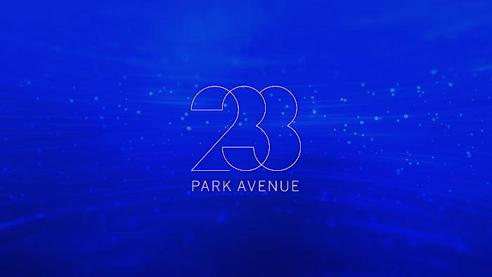 233 Logo Moodboard
