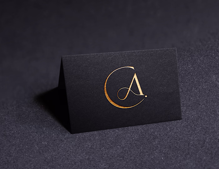 Logo design created for a
