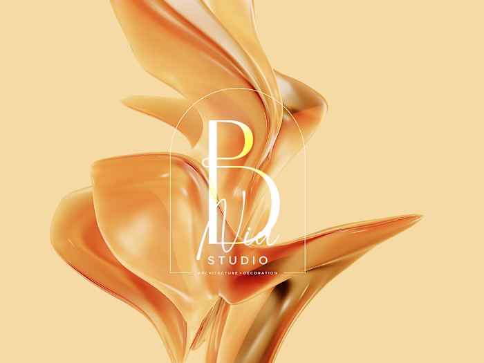Logo Design Exploration for Nia B. Studio