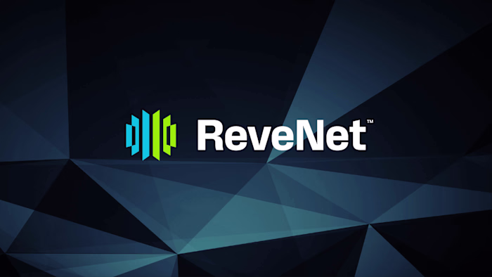 ReveNet — brand identity for a B2B Telecom