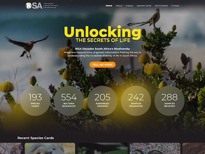 A beautifully ambitious initiative to
