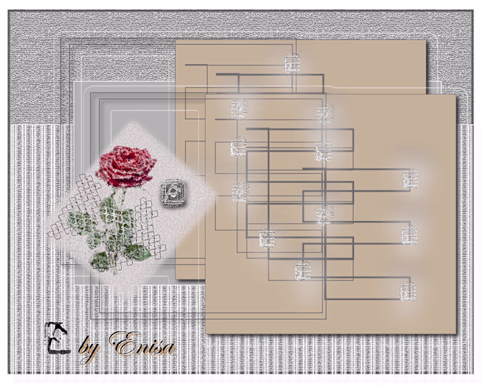 Floral Geometry