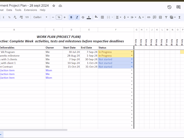 Project Coordination and Task Automation