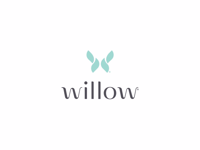 Willow Saves $380k with Salesforce Fractional Team 