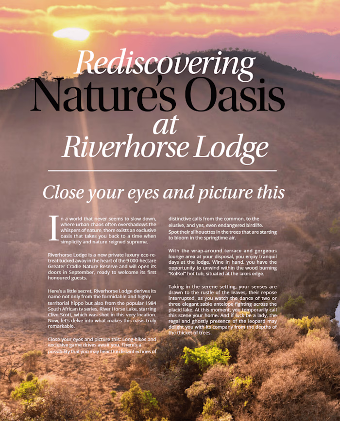 Magazine Article