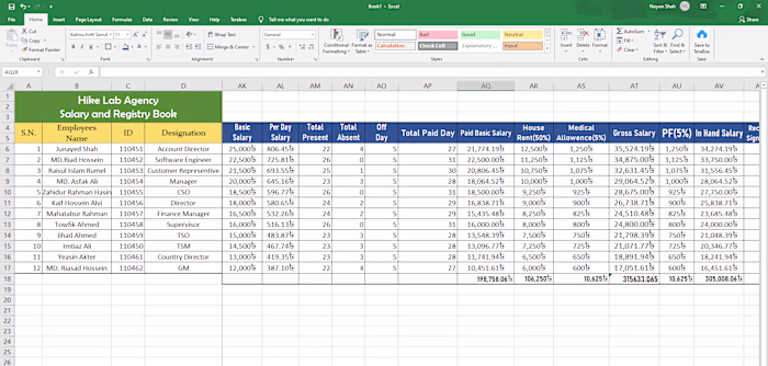 Salary Sheet Data Entry