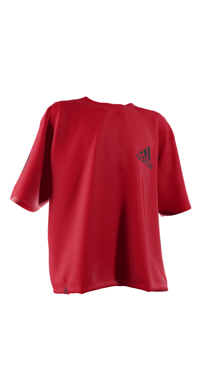 Realistic Apparel Design