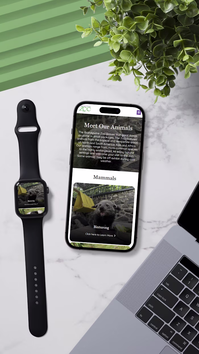 Brandywine Zoo Redesign - Elementor