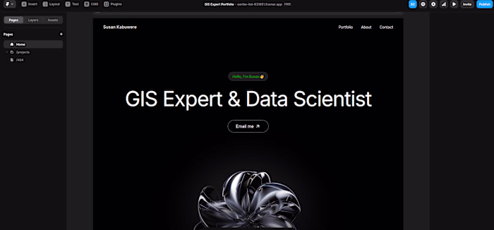 GIS Expert Portfolio