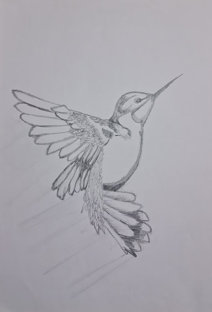 Sketch