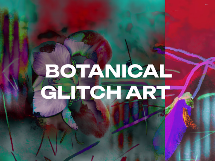 Julss Archive — Botanical Glitch Art