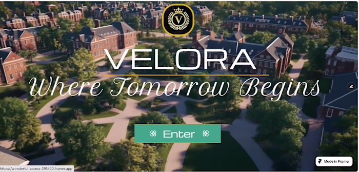 Velora-My first Framer project!
26 pages.