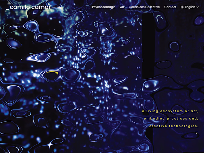camilo camar Web design Website and evolving archive for my ...