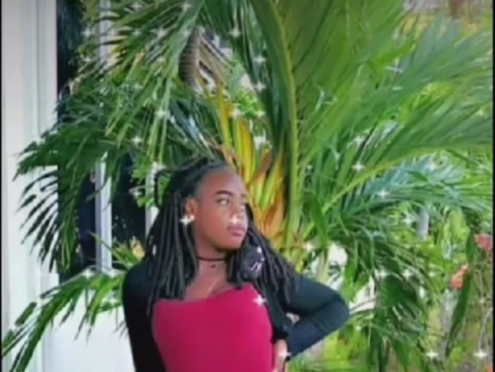 Stuck in a tree; Stay in my lane 💚🌴