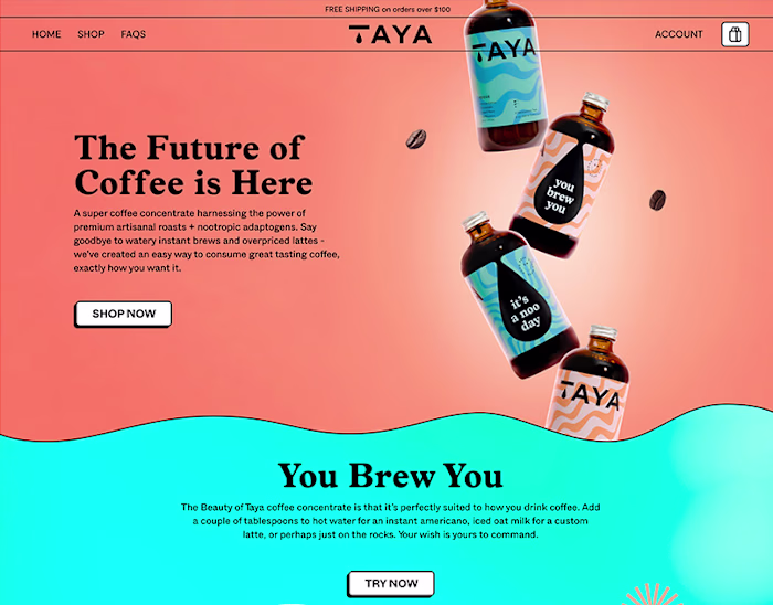 Shopify store for a startup