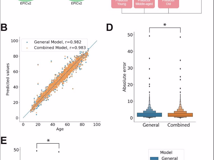 Regression model for chronological age based on epigenetic data