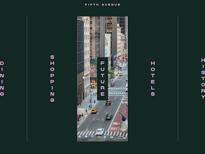 5th Avenue | Fifth Avenue 