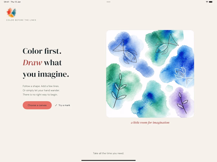 Color Before the Lines: reverse