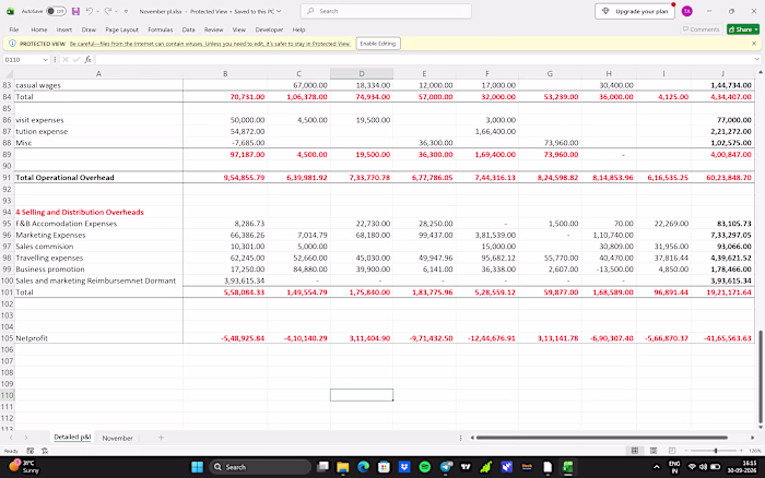 Prepared an integrated P&L consolidating
