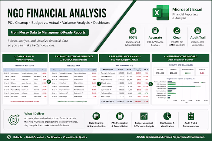 NGO Financial Analysis