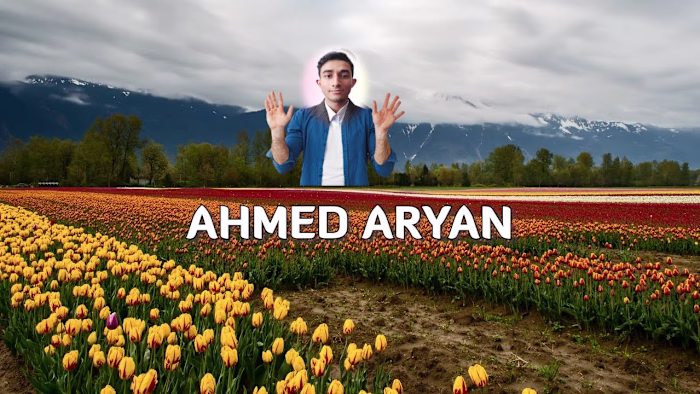 Visions Unveiled: A Journey Through Dynamic Video Editing - You…