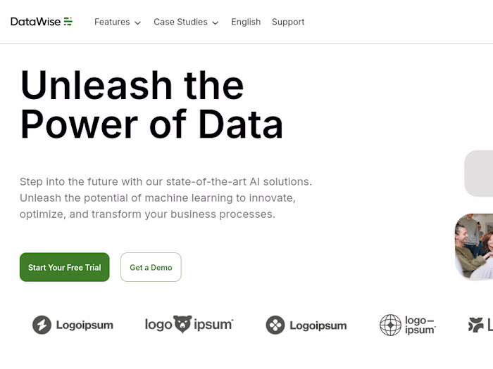 Datawise - Landing Page for Startup