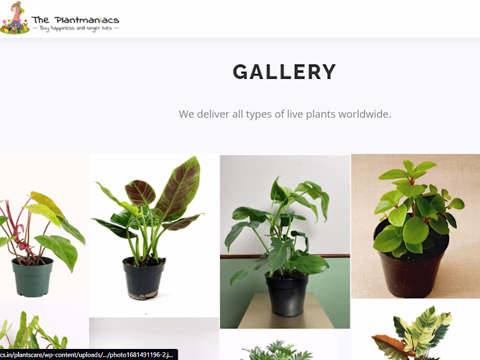 The Plants Maniac