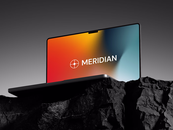 Meridian — Dashboard UI  (Concept / Self-Directed Case Study)