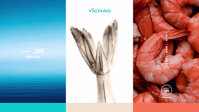 Yichao — Seafood Brand Identity & Packaging Concept