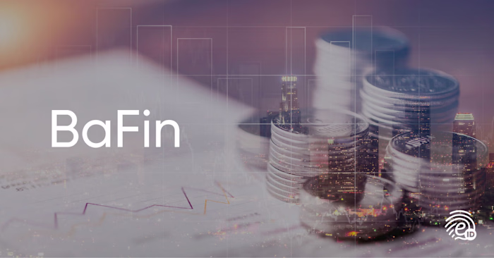 BaFin (Federal Financial Supervisory Authority): What is it?