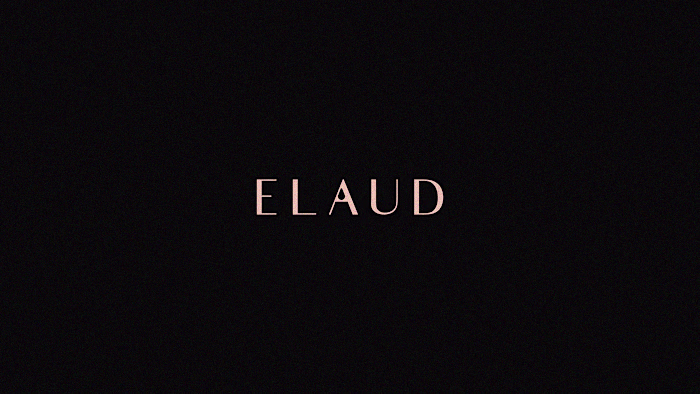 Beauty Brand Style Guide (ELAUD)