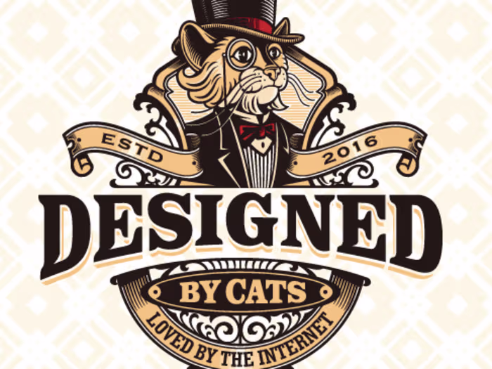 Cool Cats Co: How Small Changes Led to Big Results
