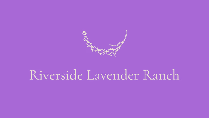 Riverside Lavender Ranch Branding and Website